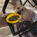 jikuva Soft Plush MDurable Flying Ring for Dogs – Lightweight, Soft Rubber, Floats on Water, Safe for Fetching and Catchingng