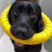 jikuva Soft Plush MDurable Flying Ring for Dogs – Lightweight, Soft Rubber, Floats on Water, Safe for Fetching and Catchingng